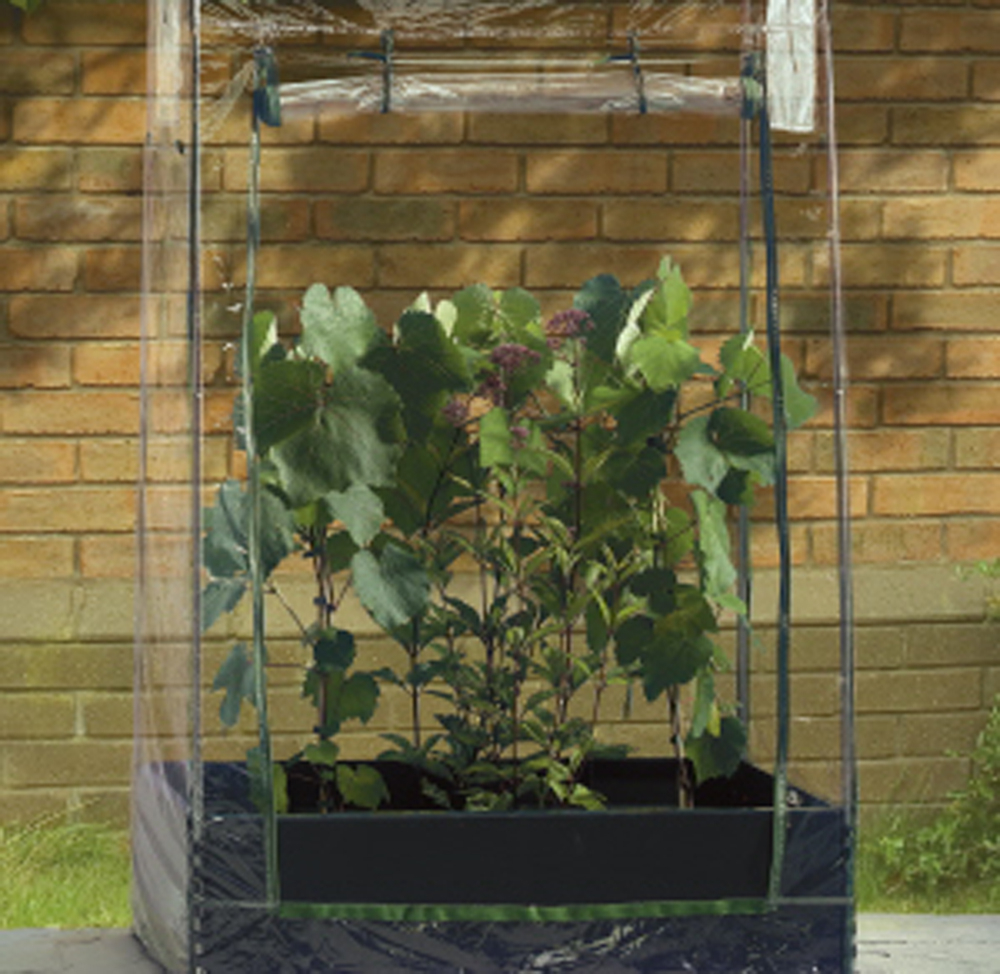 Mini Grow Bed Gardening Supplies